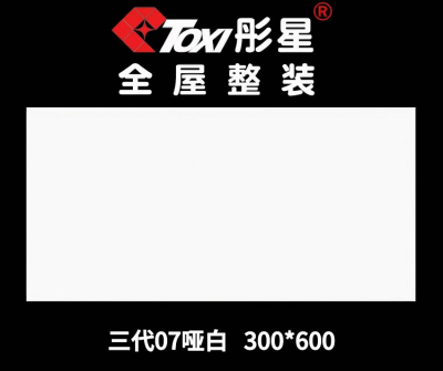 铝扣板——三代07哑白300*600